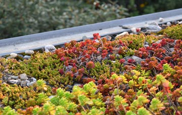 the cost of Myndd Llandegai green roof installation