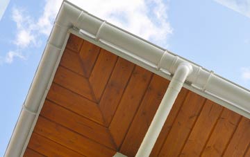 Myndd Llandegai soffit types