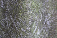 Myndd Llandegai fibreglass roof work